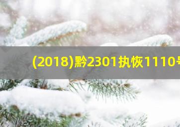 (2018)黔2301执恢1110号