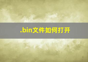 .bin文件如何打开