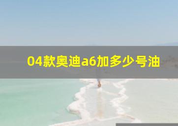 04款奥迪a6加多少号油