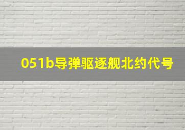 051b导弹驱逐舰北约代号