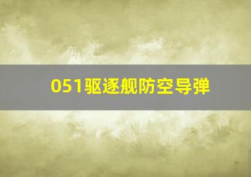 051驱逐舰防空导弹