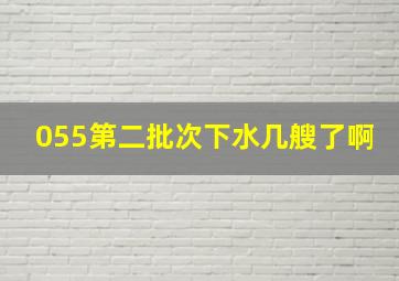 055第二批次下水几艘了啊