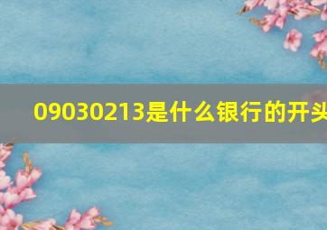 09030213是什么银行的开头