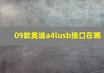 09款奥迪a4lusb接口在哪