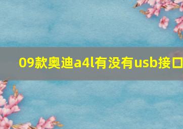 09款奥迪a4l有没有usb接口