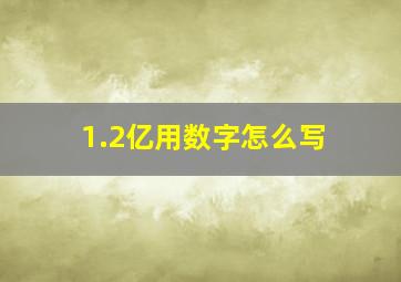 1.2亿用数字怎么写