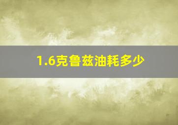 1.6克鲁兹油耗多少