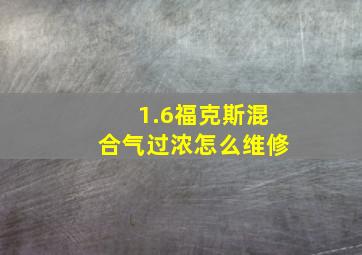 1.6福克斯混合气过浓怎么维修