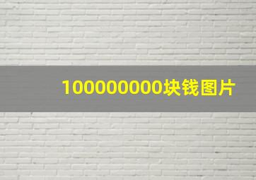 100000000块钱图片