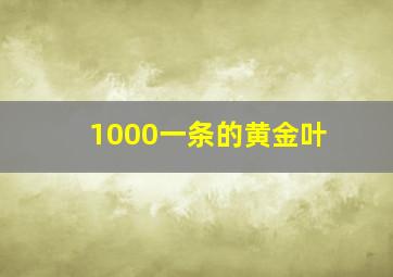 1000一条的黄金叶