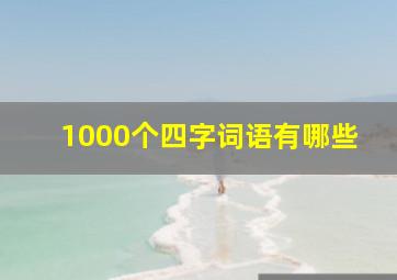 1000个四字词语有哪些