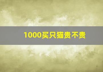 1000买只猫贵不贵