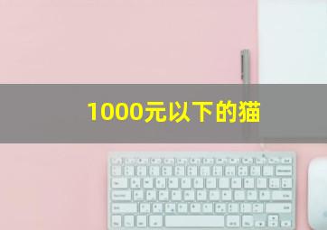 1000元以下的猫