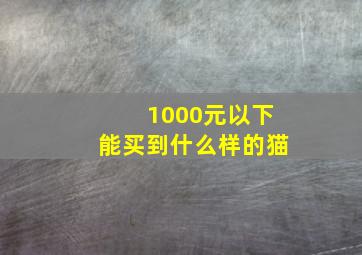 1000元以下能买到什么样的猫