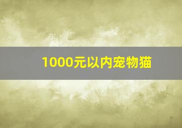 1000元以内宠物猫