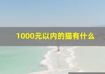 1000元以内的猫有什么