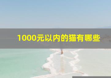 1000元以内的猫有哪些