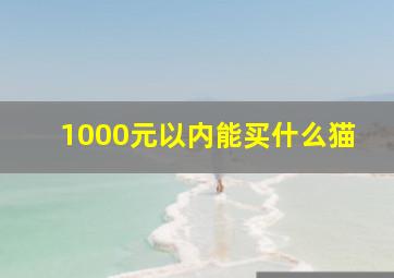 1000元以内能买什么猫