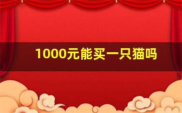 1000元能买一只猫吗