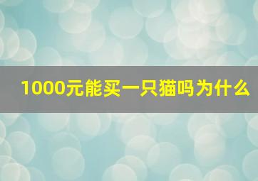 1000元能买一只猫吗为什么