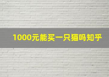 1000元能买一只猫吗知乎