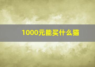 1000元能买什么猫