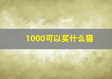 1000可以买什么猫