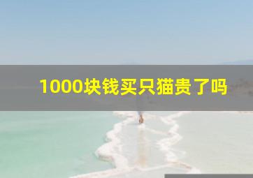 1000块钱买只猫贵了吗