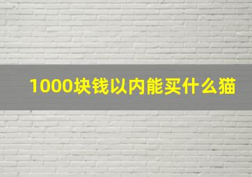 1000块钱以内能买什么猫