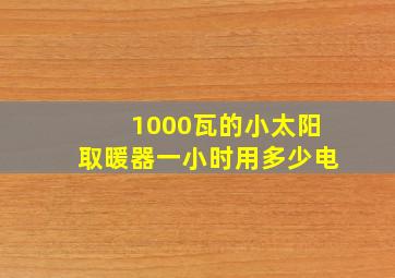 1000瓦的小太阳取暖器一小时用多少电