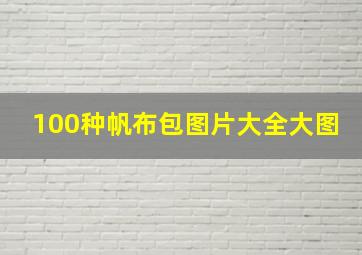 100种帆布包图片大全大图