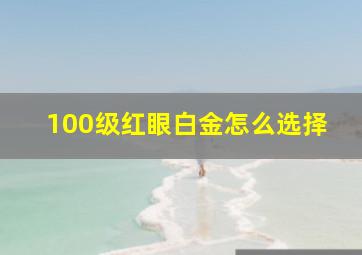 100级红眼白金怎么选择