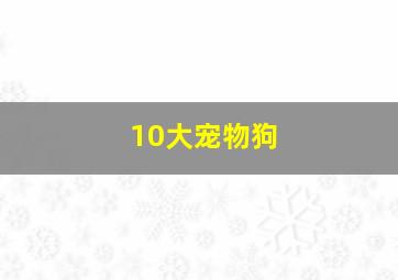 10大宠物狗