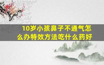 10岁小孩鼻子不通气怎么办特效方法吃什么药好