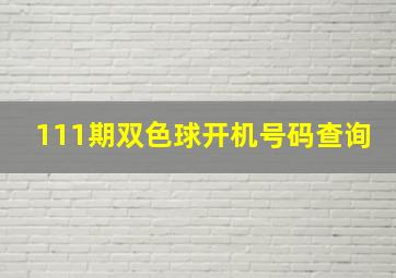 111期双色球开机号码查询