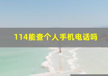 114能查个人手机电话吗