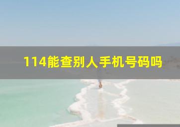 114能查别人手机号码吗