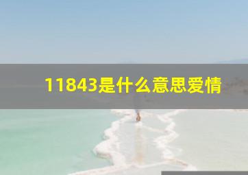 11843是什么意思爱情