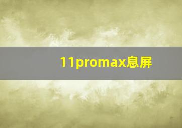 11promax息屏