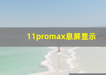 11promax息屏显示