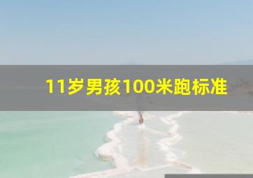 11岁男孩100米跑标准