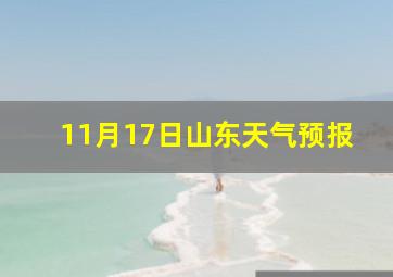 11月17日山东天气预报