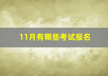 11月有哪些考试报名