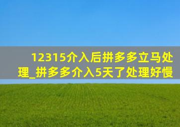 12315介入后拼多多立马处理_拼多多介入5天了处理好慢