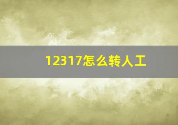 12317怎么转人工