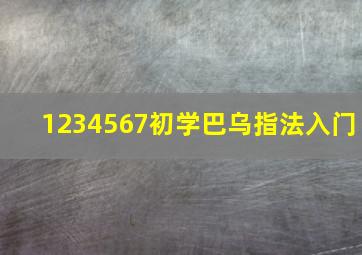 1234567初学巴乌指法入门