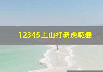 12345上山打老虎喊麦