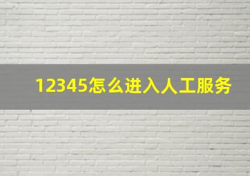 12345怎么进入人工服务