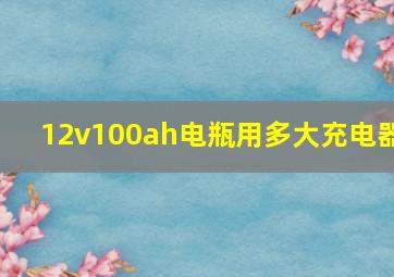 12v100ah电瓶用多大充电器