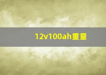 12v100ah重量